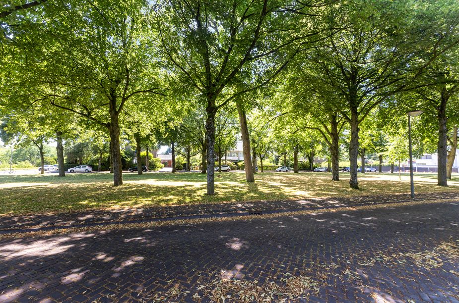 Wantijplantsoen 7