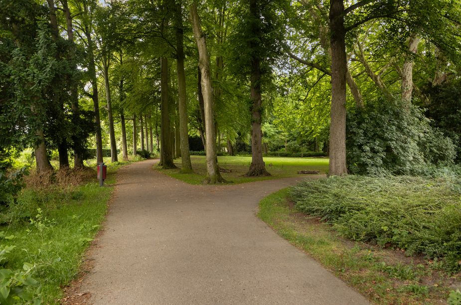 Cederlaan 35