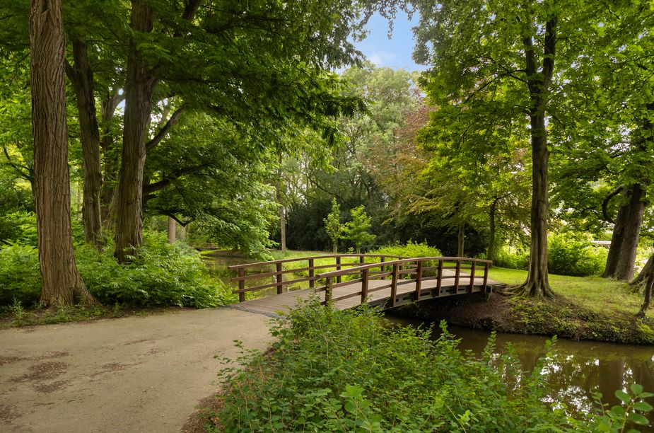 Cederlaan 35