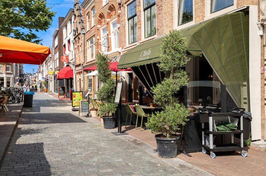 Vriesestraat 162