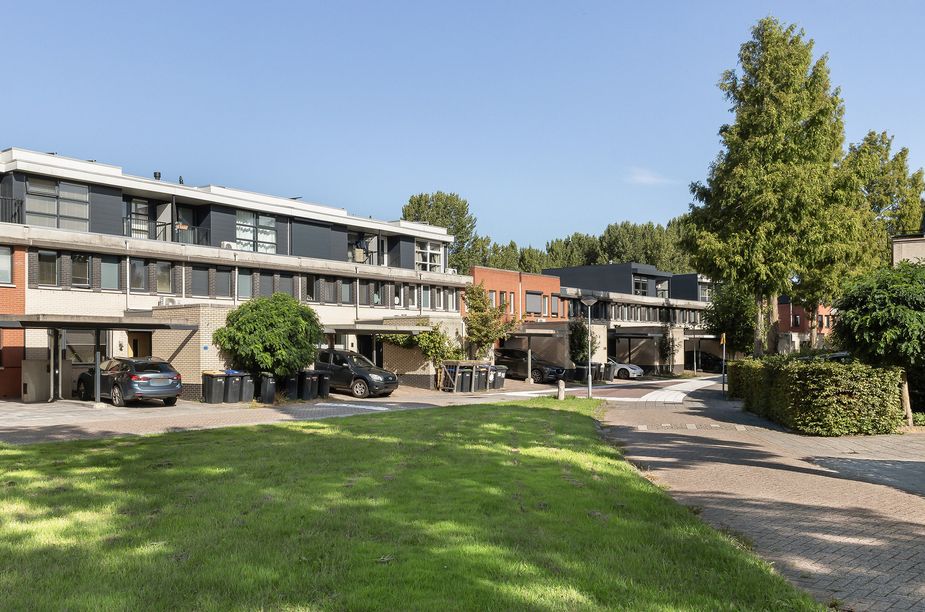 Iroko 203